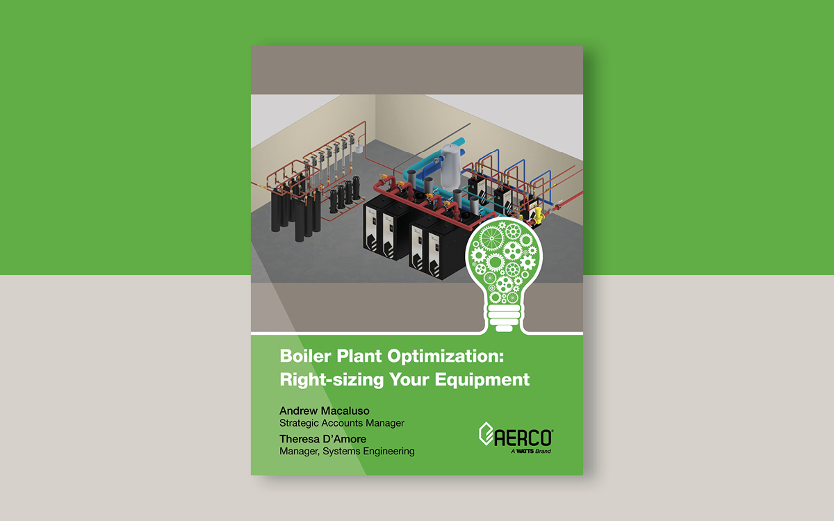 Cover of Rigth-Sizing Your Boiler Plant